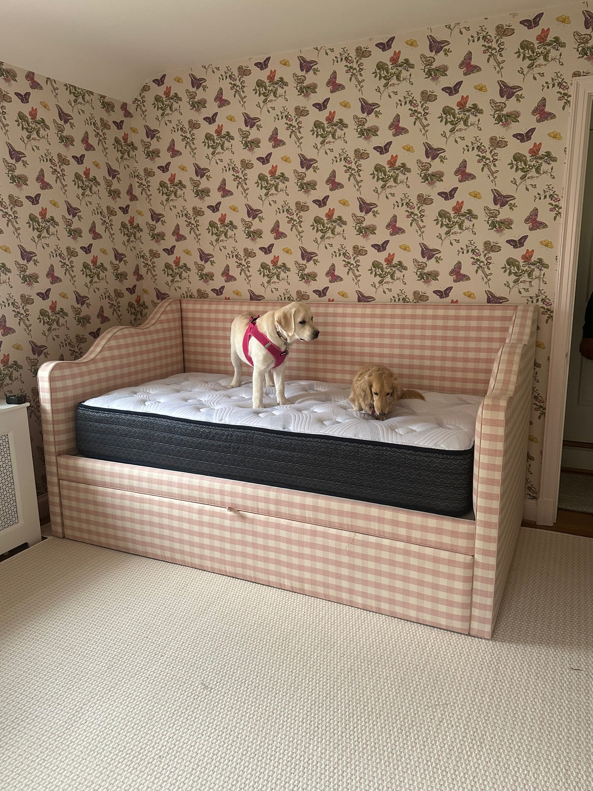 Ali Scalloped Daybed